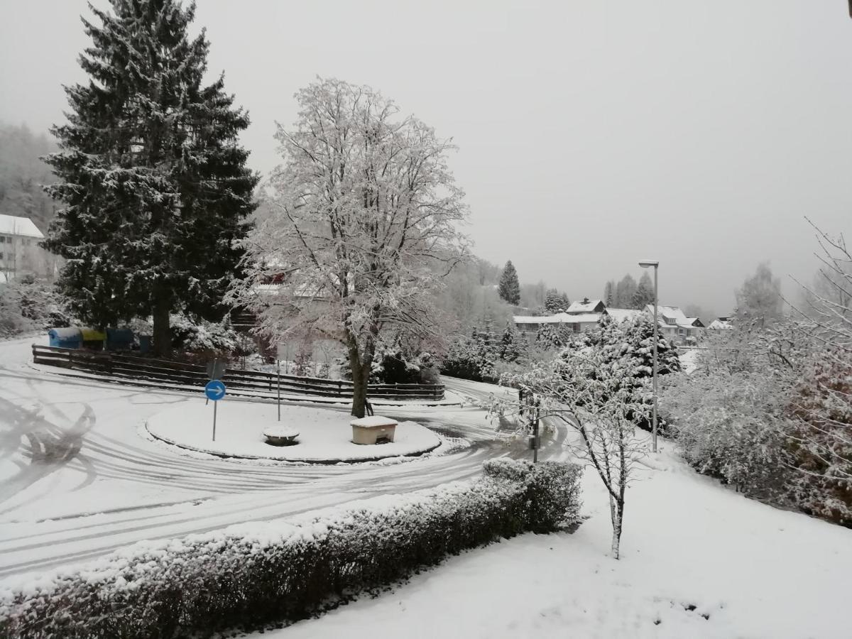 Schoene Aussicht Wieda Walkenried Exterior photo